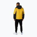 Pitbull West Coast vyriška žieminė striukė Evergold su gobtuvu Padded yellow/black 3