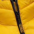 Pitbull West Coast vyriška žieminė striukė Evergold su gobtuvu Padded yellow/black 8