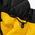 Pitbull West Coast vyriška žieminė striukė Evergold su gobtuvu Padded yellow/black 9