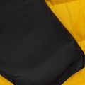 Pitbull West Coast vyriška žieminė striukė Evergold su gobtuvu Padded yellow/black 12