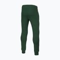 Vyriškos kelnės Pitbull New Hilltop Jogging dark green 5