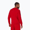 Vyriškas džemperis Pitbull Sherwood Crewneck red 3