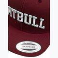 Kepuraitė su snapeliu Pitbull West Coast Snapback Pitbull YP Classic Premium burgundy 4