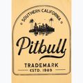 Vyriški marškinėliai Pitbull So Cal yellow 8