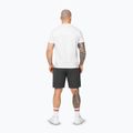 Vyriški šortai Pitbull West Coast Pique Rockey graphite 3