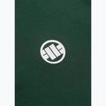 Vyriški polo marškinėliai Pitbull Polo Pique Stripes Regular jade green 6