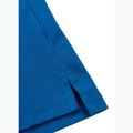 Vyriški polo marškinėliai Pitbull Polo Pique Stripes Regular royal blue 9