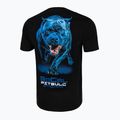 Vyriški marškinėliai Pitbull West Coast In Blue black 5