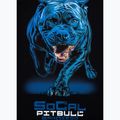 Vyriški marškinėliai Pitbull West Coast In Blue black 6