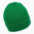 Vyriška žieminė kepurė Pitbull Beanie Dock green 2