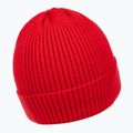 Vyriška žieminė kepurė Pitbull Beanie Dock red 2