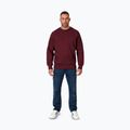 Vyriškas džemperis Pitbull Small Logo Crewneck burgundy 2