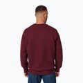 Vyriškas džemperis Pitbull Small Logo Crewneck burgundy 3