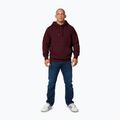 Vyriškas džemperis Pitbull Small Logo Hooded burgundy 2