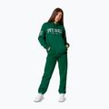 Moteriškos kelnės Pitbull Tyrian Trackpants green 2