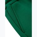 Moteriškos kelnės Pitbull Tyrian Trackpants green 4