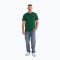 Vyriški marškinėliai Pitbull Small Logo leaf green 2