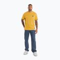 Vyriški marškinėliai Pitbull Small Logo pale yellow 2
