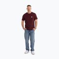 Vyriški marškinėliai Pitbull Small Logo dark burgundy 2