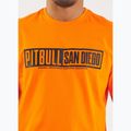 Vyriški marškinėliai Pitbull Eighty Nine Dog orange 5