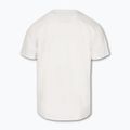Vyriški marškinėliai Pitbull Small Logo off white 7