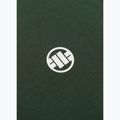 Vyriški marškinėliai Pitbull Small Logo green 10