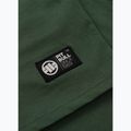 Vyriški marškinėliai Pitbull Small Logo green 12