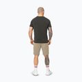 Vyriški šortai Pitbull Dogwood Sport dark sand 3