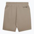 Vyriški šortai Pitbull Dogwood Sport dark sand 2