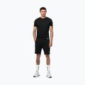 Vyriški šortai Pitbull Dogwood Sport black 2