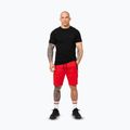 Vyriški šortai Pitbull Dogwood Sport fluo/red 2
