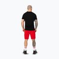 Vyriški šortai Pitbull Dogwood Sport fluo/red 3