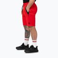 Vyriški šortai Pitbull Dogwood Sport fluo/red 5