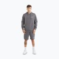 Vyriškas džemperis Pitbull Sampson Hooded Sweatshirt graphite 2