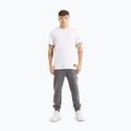 Vyriškos kelnės Pitbull Sampson Track Pants graphite 2