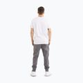 Vyriškos kelnės Pitbull Sampson Track Pants graphite 4