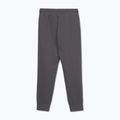 Vyriškos kelnės Pitbull Sampson Track Pants graphite 2
