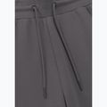 Vyriškos kelnės Pitbull Sampson Track Pants graphite 3