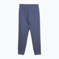 Vyriškos kelnės Pitbull Sampson Track Pants navy jeans 2