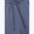 Vyriškos kelnės Pitbull Sampson Track Pants navy jeans 3