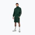 Vyriškas džemperis Pitbull Track Jacket Powers bottle green 2