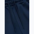 Vyriškos kelnės Pitbull Track Pants Powers royal blue 3
