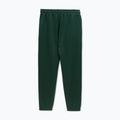 Vyriškos kelnės Pitbull Track Pants Powers bottle green 2