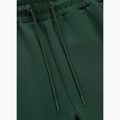 Vyriškos kelnės Pitbull Track Pants Powers bottle green 3