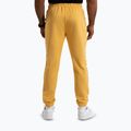 Vyriškos kelnės Pitbull Track Pants Powers pale yellow 3