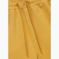Vyriškos kelnės Pitbull Track Pants Powers pale yellow 7