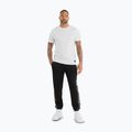 Vyriškos kelnės Pitbull Track Pants Powers black 2
