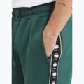 Vyriški šortai Pitbull Track Shorts Powers bottle green 2