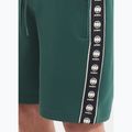 Vyriški šortai Pitbull Track Shorts Powers bottle green 3