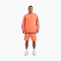 Vyriškas džemperis Pitbull Tape Nugget Crewneck Sweatshirt bright salmon 2